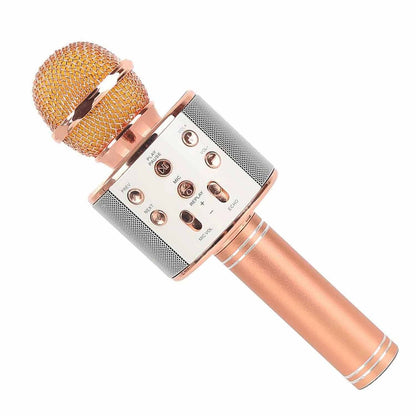 Karaoke bluetooth mikrofon i zvučnik